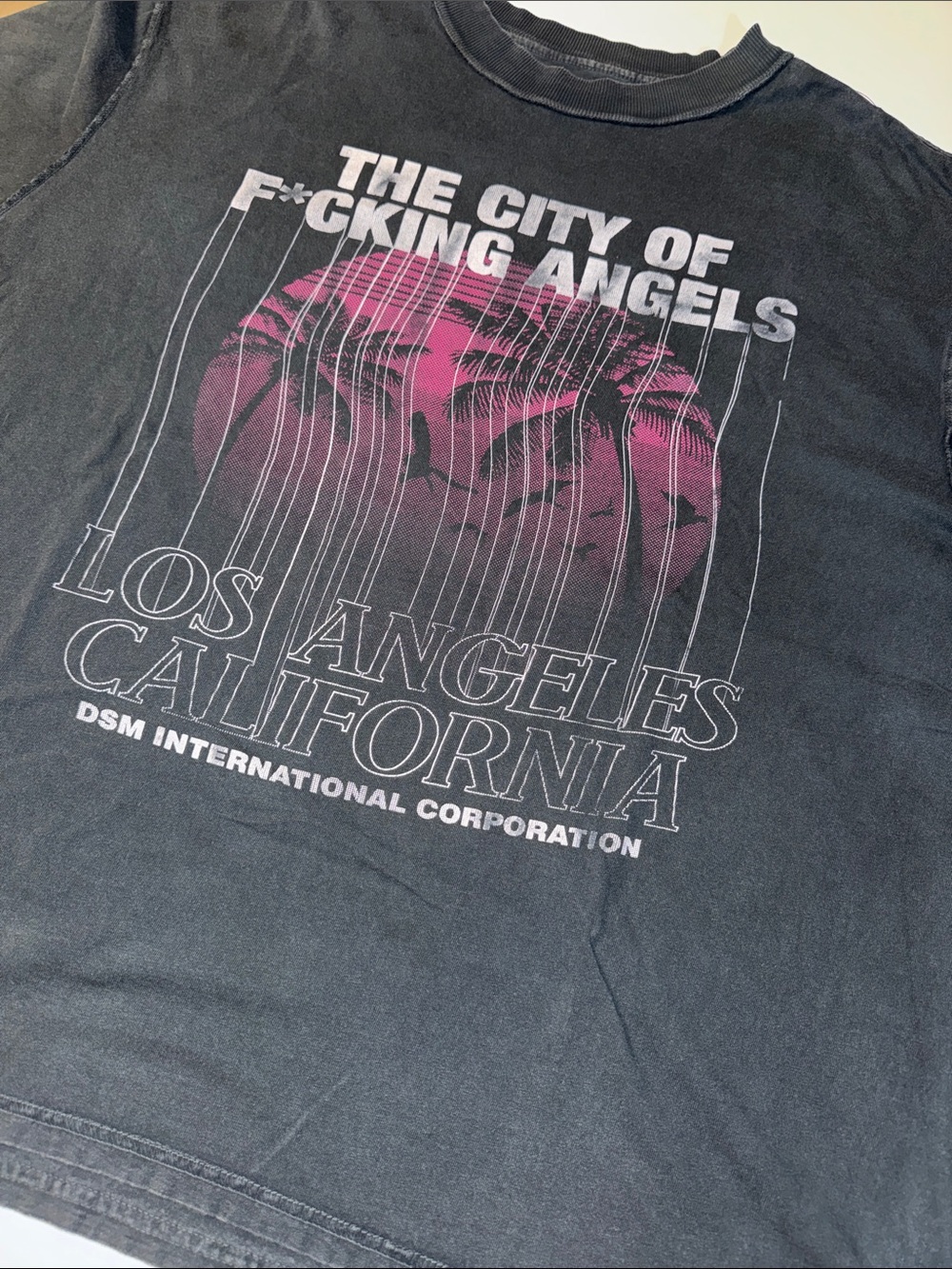 Diet Starts Monday Los Angeles City of Angels Graphic Streetwear‎ Tee DSM